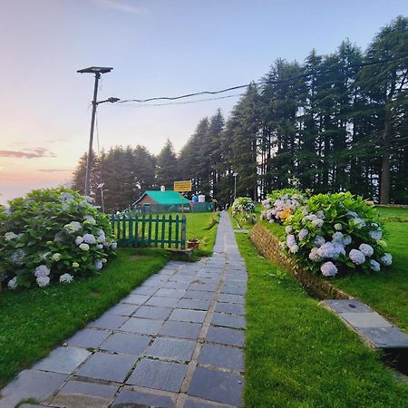 Forest Vibes Kalatop-Rooms And Restaurant Dalhousie Exteriér fotografie