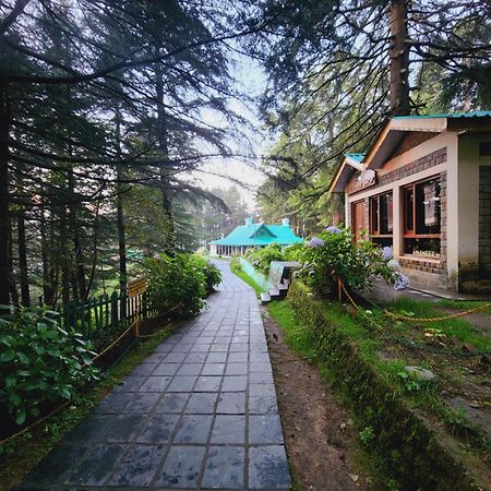 Forest Vibes Kalatop-Rooms And Restaurant Dalhousie Exteriér fotografie