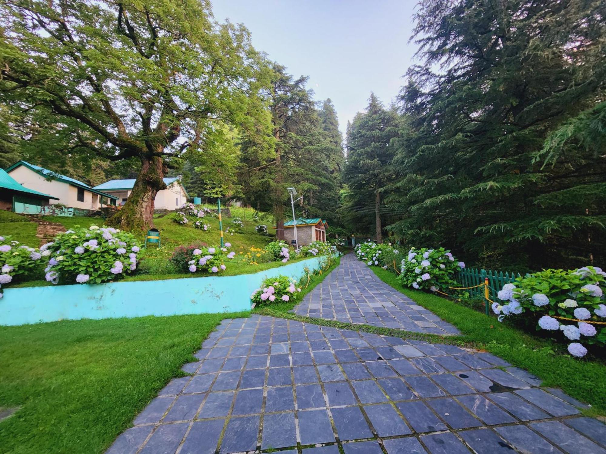 Forest Vibes Kalatop-Rooms And Restaurant Dalhousie Exteriér fotografie