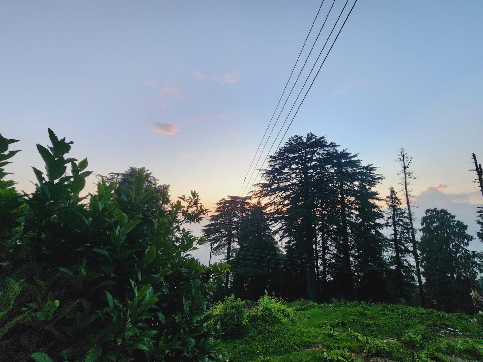 Forest Vibes Kalatop-Rooms And Restaurant Dalhousie Exteriér fotografie