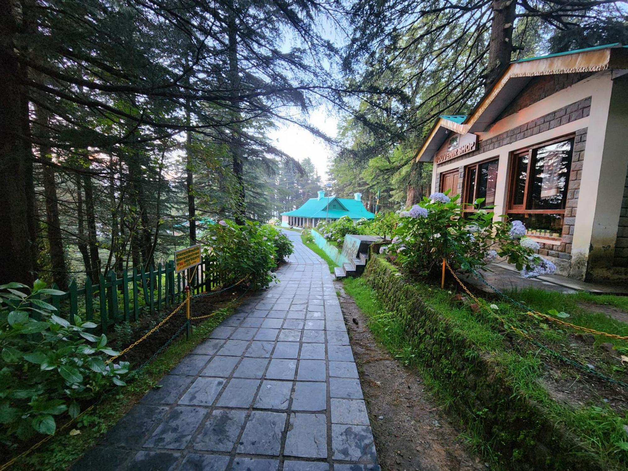 Forest Vibes Kalatop-Rooms And Restaurant Dalhousie Exteriér fotografie