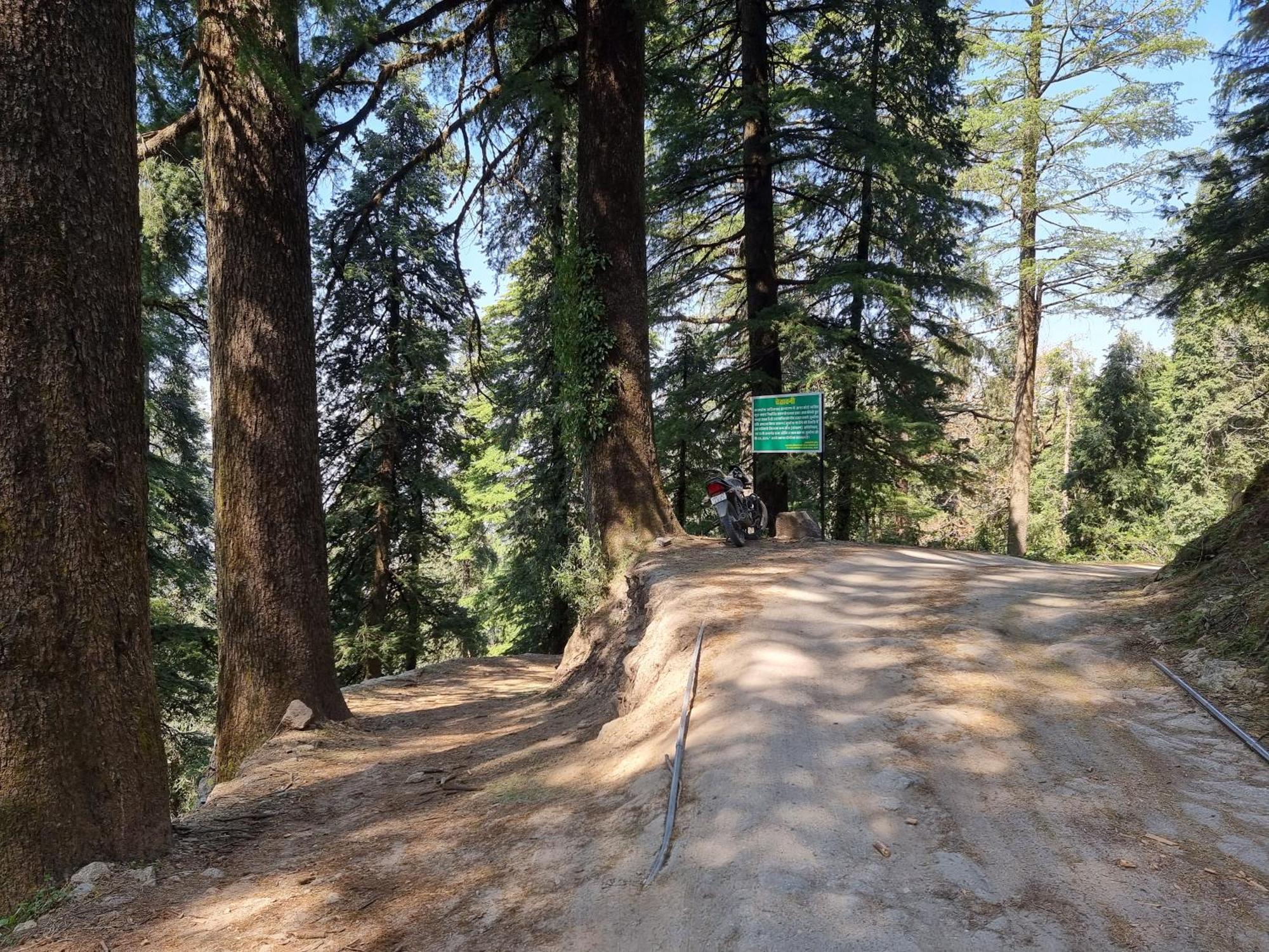 Forest Vibes Kalatop-Rooms And Restaurant Dalhousie Exteriér fotografie