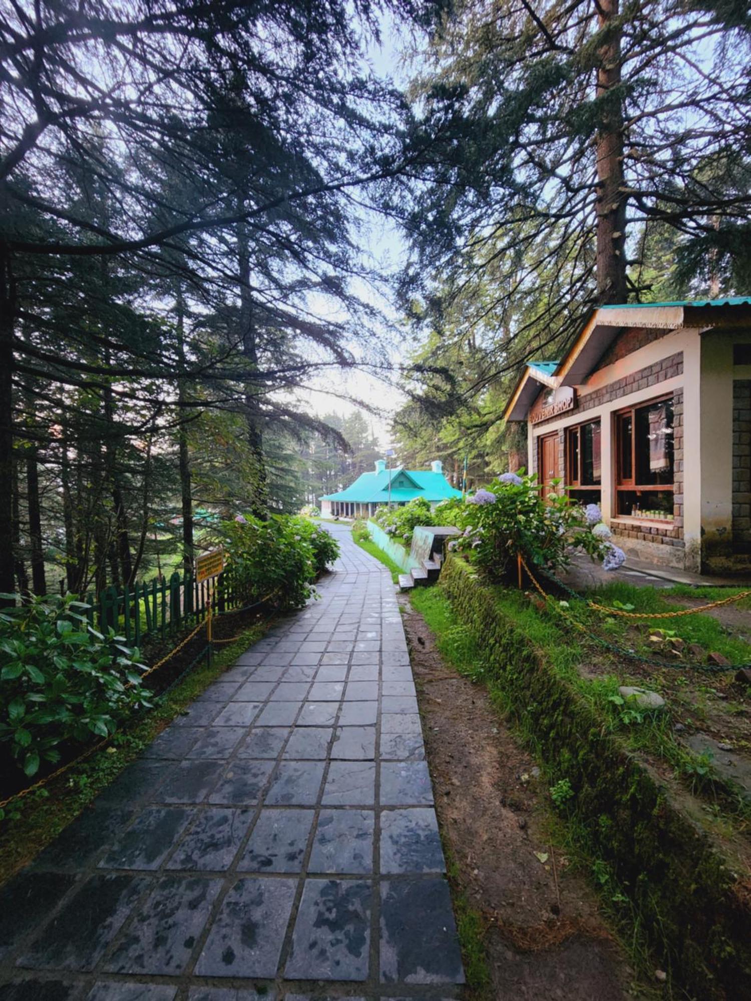 Forest Vibes Kalatop-Rooms And Restaurant Dalhousie Exteriér fotografie