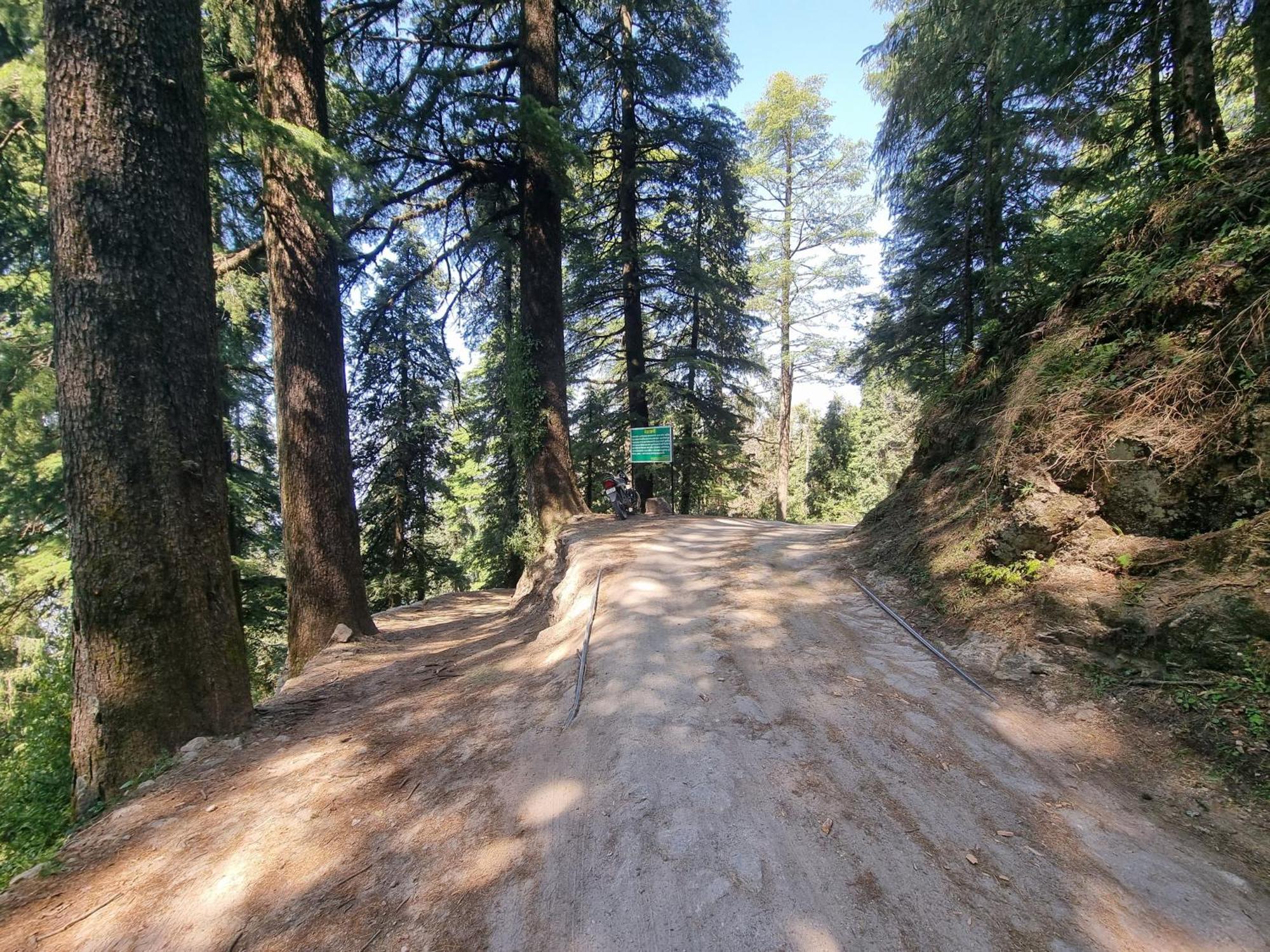 Forest Vibes Kalatop-Rooms And Restaurant Dalhousie Exteriér fotografie